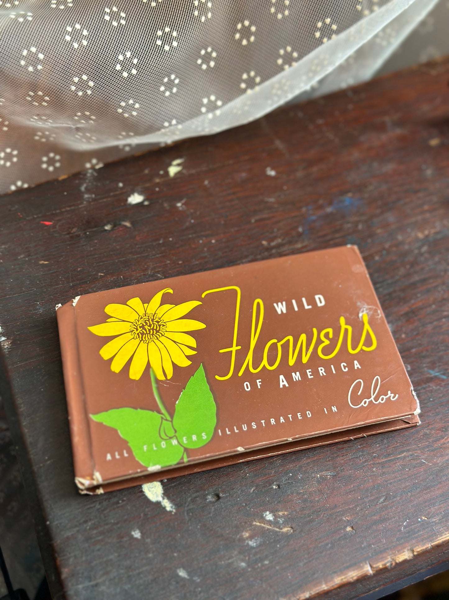 Wild Flowers of America Mini Hardcover Booklet