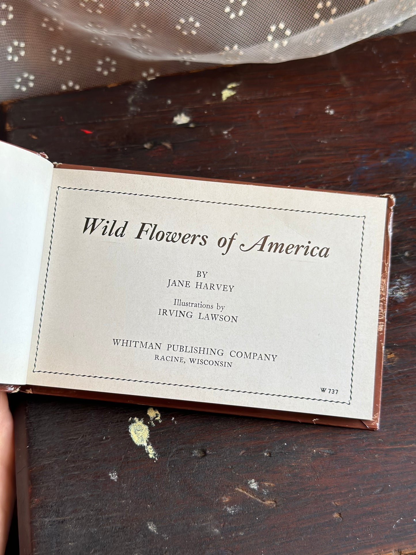 Wild Flowers of America Mini Hardcover Booklet