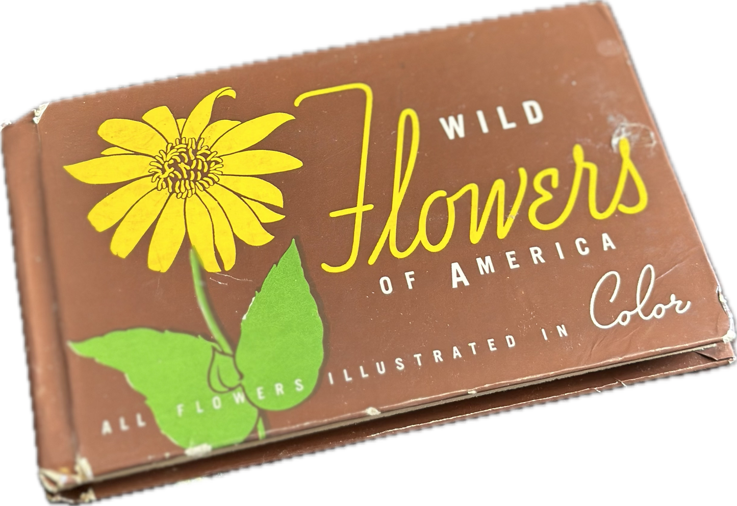 Wild Flowers of America Mini Hardcover Booklet